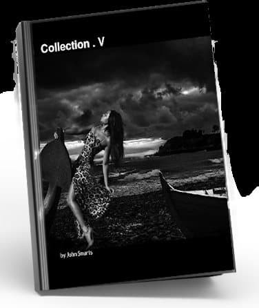 Collection .V book cover